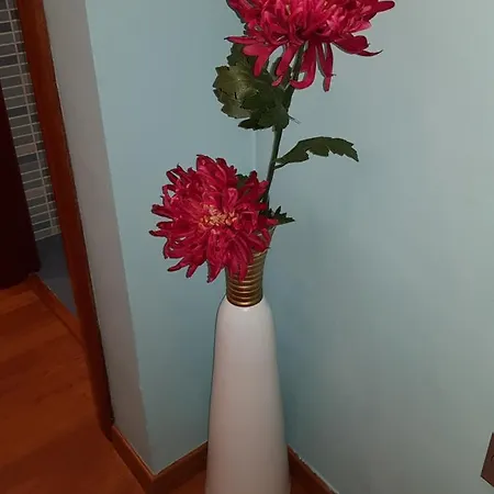 Centrico Apartamento דירה גרנדה